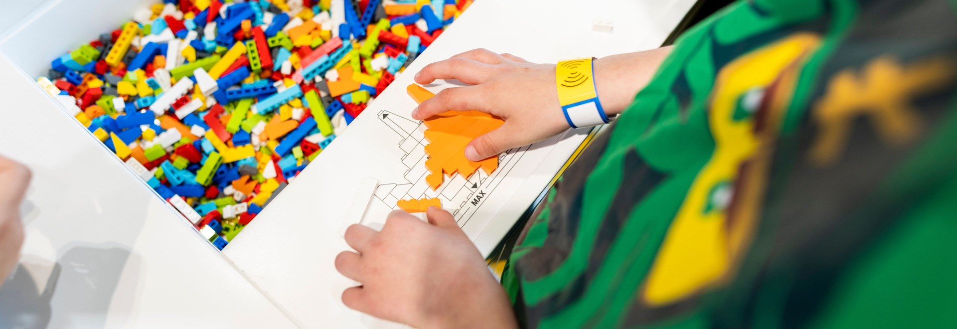 LEGO House - Fish Designer, Skoleprogram