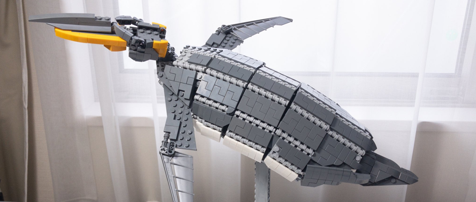 Mitsuru Nikaido BTS 3