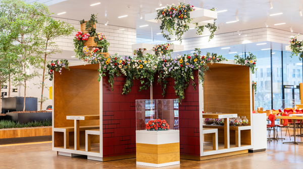 Brickaccino blomstrer 